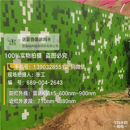 铜川星空迷彩漆，夏令营训练,数码迷彩作训墙,围墙
